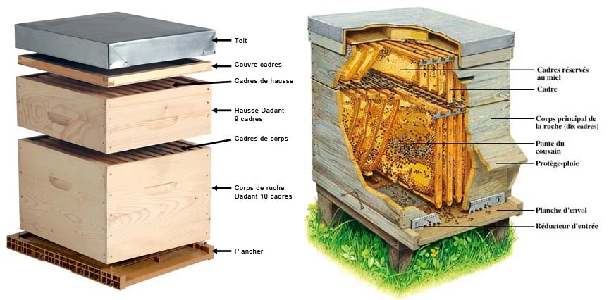 Descriptif des éléments de la ruche
